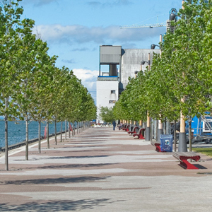 Waterfront Promenade